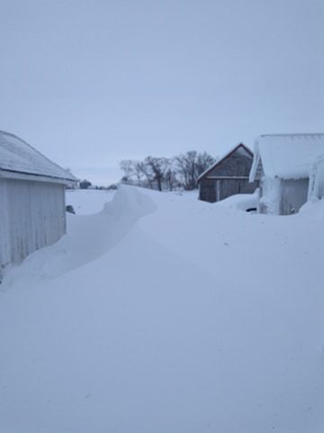 Snow drift